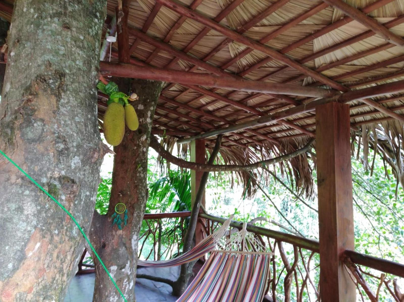 Ella Treehouse Hotel Exterior foto