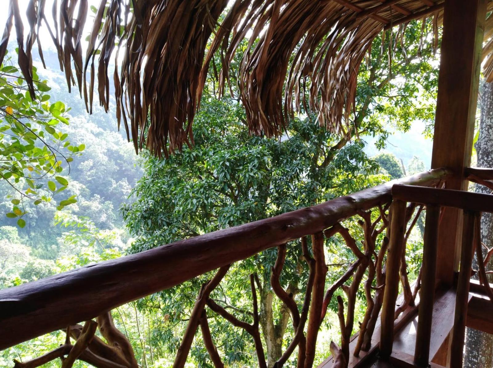 Ella Treehouse Hotel Exterior foto