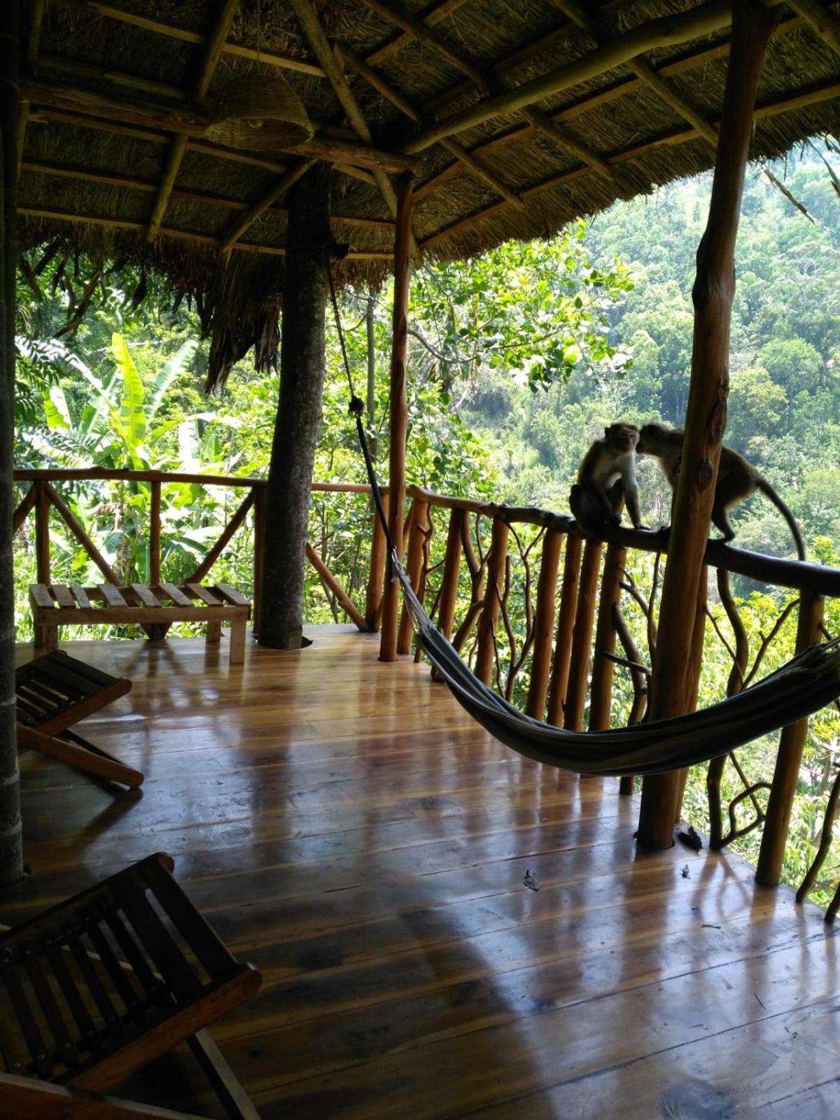 Ella Treehouse Hotel Exterior foto